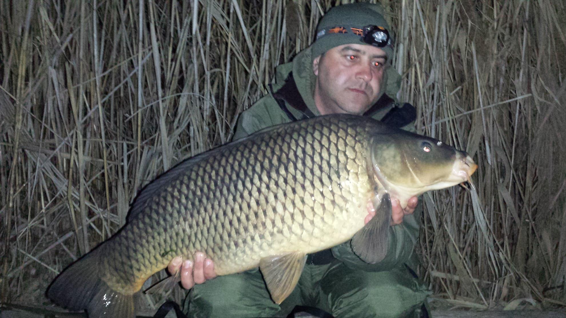 Tancabesti 14 - 16 mar. - 2014-03-15-205805.jpg